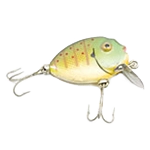 Pesca e caça