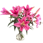 Flores